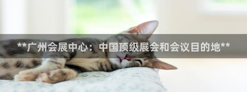 果博平台真实吗知乎推荐：**广州会展中心