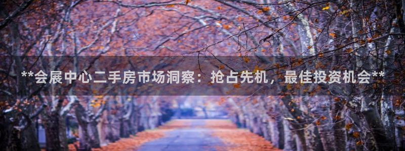 果博平台赖不赖：**会展中心二手房市场洞
