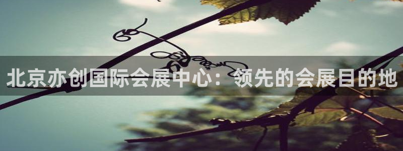 果博注册充值：北京亦创国际会展中心：领先