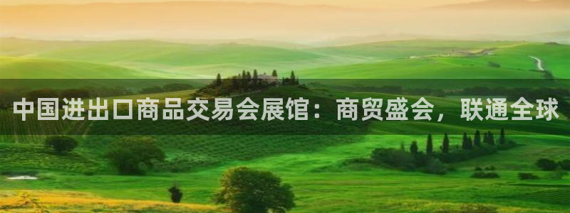 苹果电脑怎么下载伯索：中国进出口商品交易
