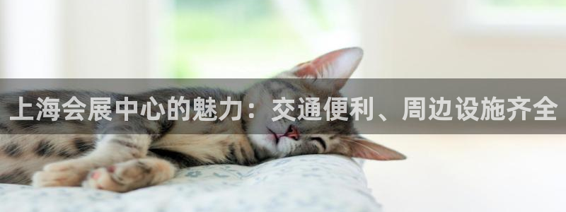 果博公司开户