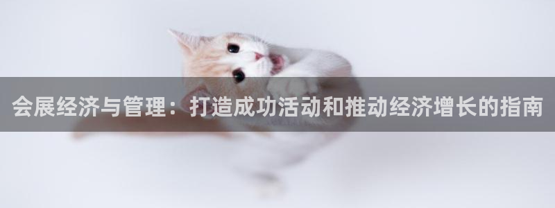 果博官网在银博：会展经济与管理：打造成功