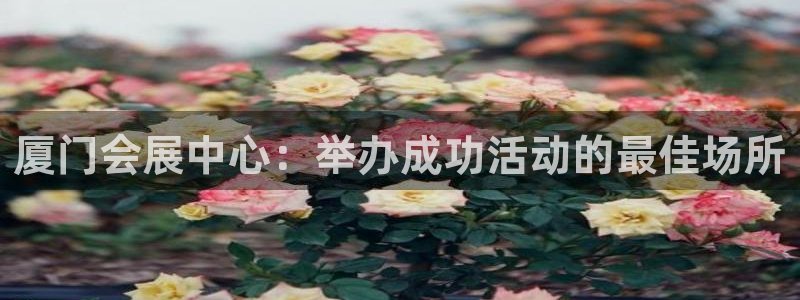 果博手机版官方下载：厦门会展中心：举办成