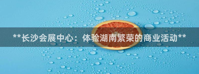果博公司：**长沙会展中心：体验湖南繁荣