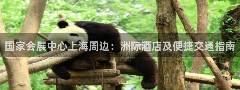 果博平台开户电话是多少：国家会展中心上海周边：洲际酒店及便捷交通指南