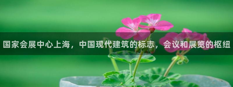 果博公司客服：国家会展中心上海，中国现代建筑的标志，会议和展览的枢纽