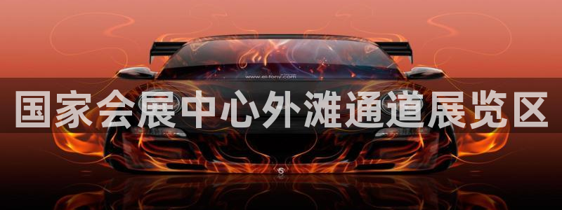 果博平台怎么下载?：国家会展中心外滩通道展览区