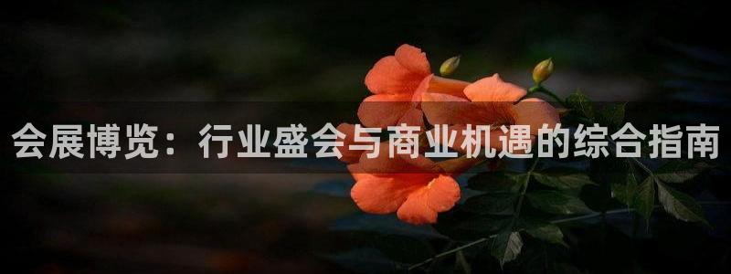 果博电话：会展博览：行业盛会与商业机遇的综合指南
