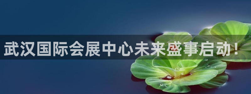 果博公司怎么注册会员：武汉国际会展中心未