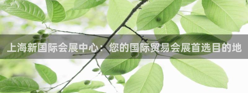 果博代理：上海新国际会展中心：您的国际贸