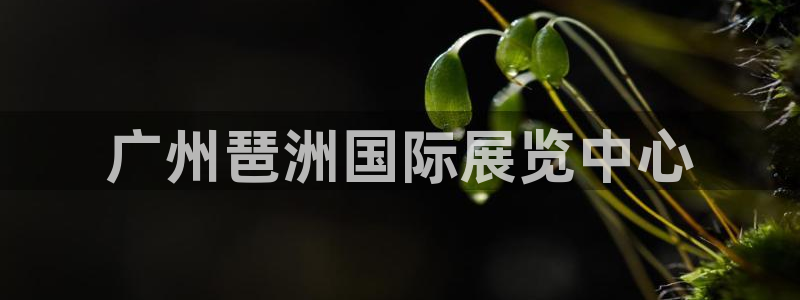 果博注册客服电话号码：广州琶洲国际展览中