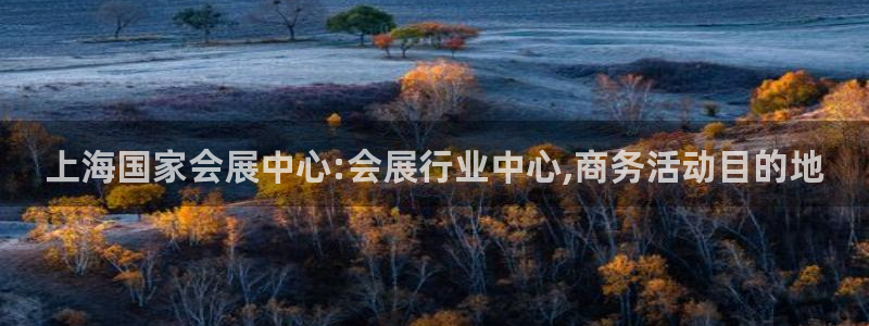 果博平台真实吗安全吗可信吗安全吗：上海国