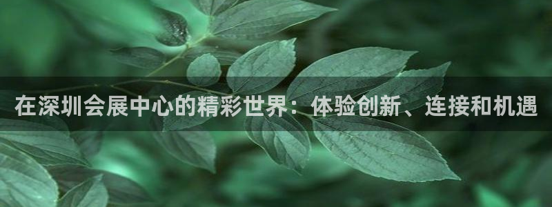果博代理网：在深圳会展中心的精彩世界：体