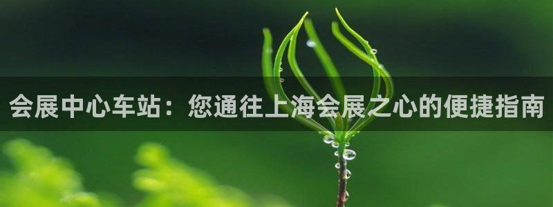 果博公司客服怎么样：会展中心车站：您通往上海会展之心的便捷指南