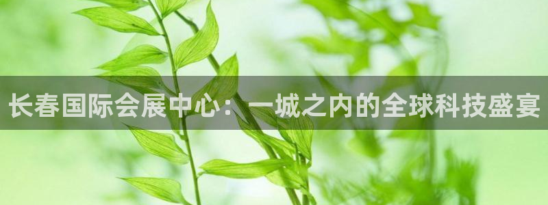 果博注册链接：长春国际会展中心：一城之内