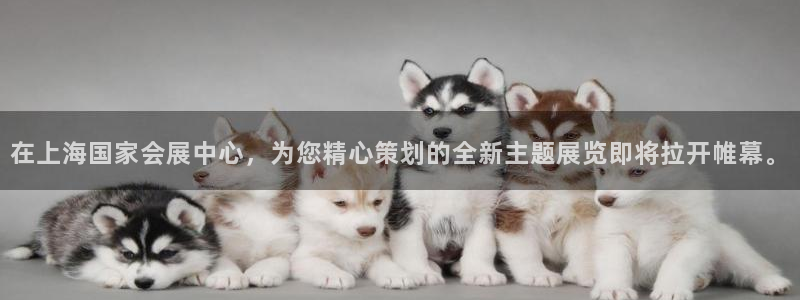 果博代理电话多少号码：在上海国家会展中心，为您精心策划的全新主题展览即将拉开帷幕。