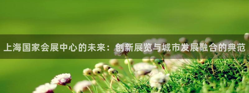 果博平台真实吗安全吗：上海国家会展中心的未来：创新展览与城市发展融合的典范