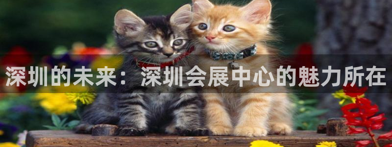果博客服联系电话：深圳的未来：深圳会展中心的魅力所在