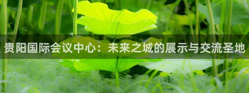 果博有假吗：贵阳国际会议中心：未来之城的展示与交流圣地