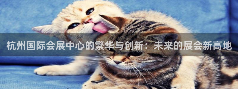 果博平台电话：杭州国际会展中心的繁华与创