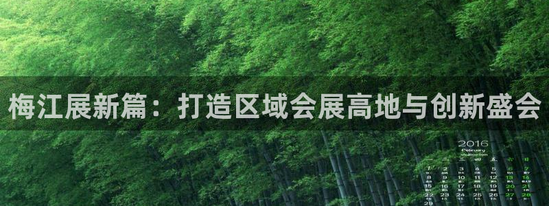 果博平台链接：梅江展新篇：打造区域会展高地与创新盛会