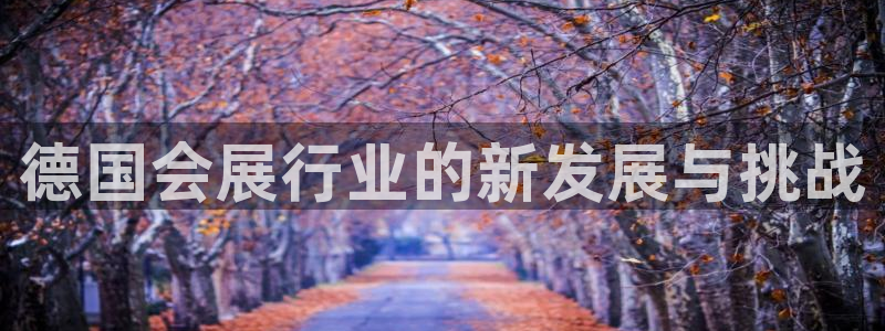 果博手机下载网址：德国会展行业的新发展与挑战