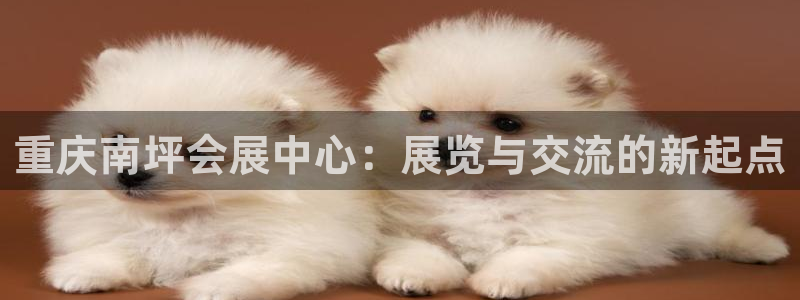 果博公司怎么注册会员：重庆南坪会展中心：展览与交流
