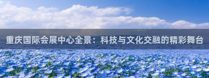 果博账号注册：重庆国际会展中心全景：科技与文化交融