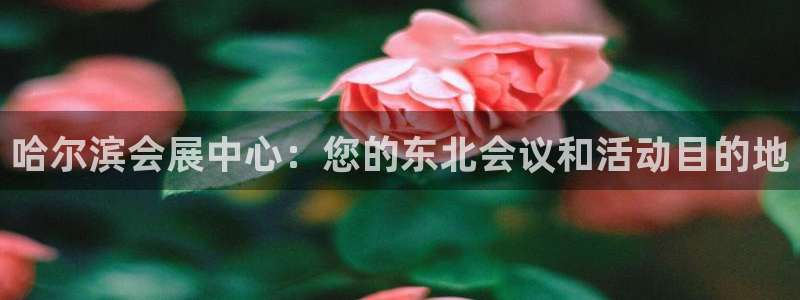 果博注册充值怎么充